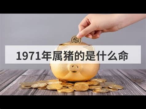 1971屬豬幸運數字|1971年屬什麼生肖？1971年出生人的命運？釵釧金。